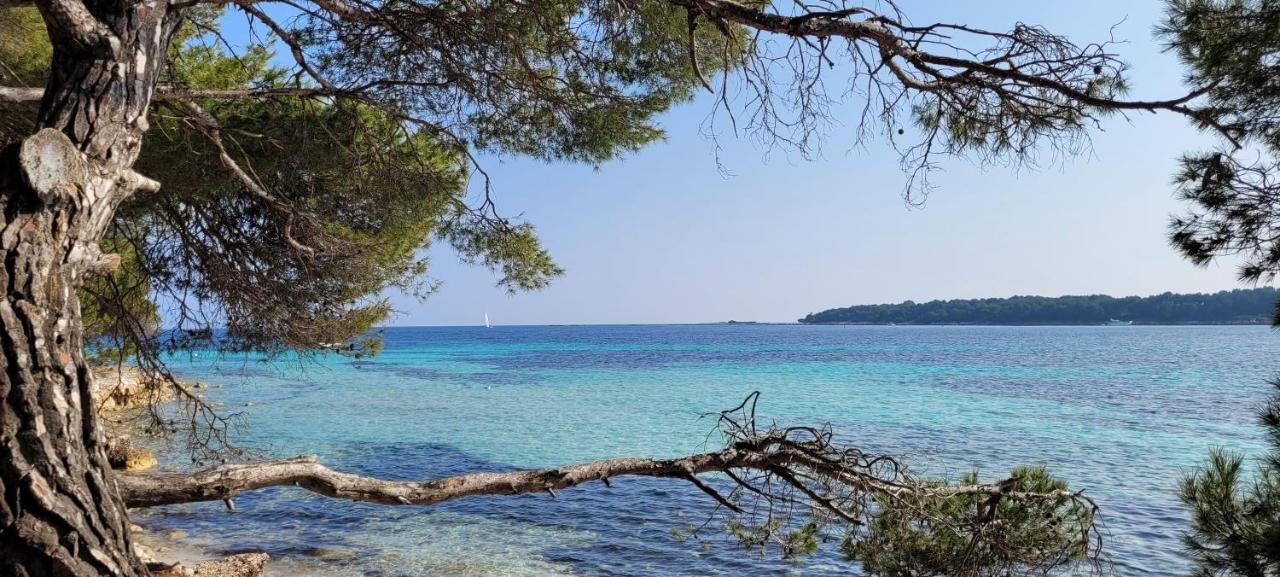 Appartement Les Grenadines Du Samedi Au Samedi à Antibes Extérieur photo